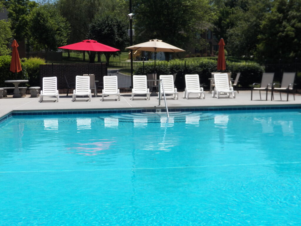 Pool and Lounge Chairs