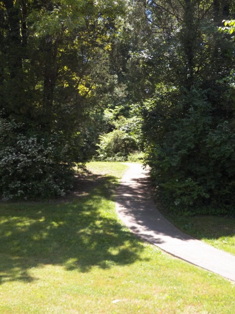 Walking Trail